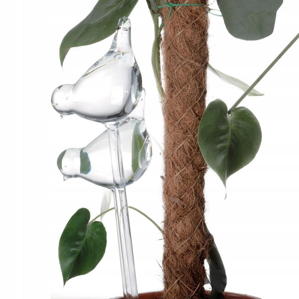PFLANZEN-LUFTBEFEUCHTER Basic 2 er Set Transparent 11.5/7.5/35 cm Glas - Transparent, Glas (7.5/35/11.5cm) - Mondex
