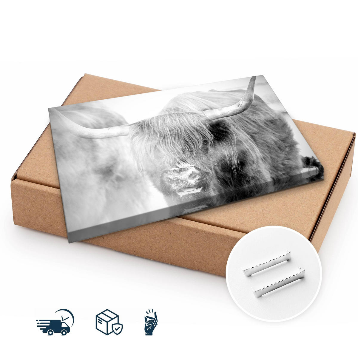 LEINWANDBILD Für Schlafzimmer Schwarz-weiß Schottische Kuh Natur 3D 30/20 cm - Schwarz/Weiß, Textil (30/20cm) - Muralo