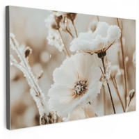 OBRAZ NA PLÁTNE Kvety - zima - biela - sneh - béžová 120x80 cm - krémová, textil (120/80cm) - MuchoWow