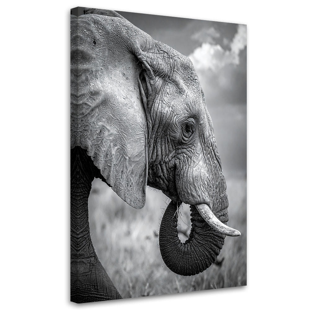 Feeby Wandbild, Schwarz 60x90 cm