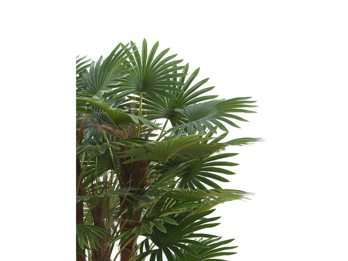 KUNSTPFLANZE - 65 cm x 65 cm - plastik - grün Rhapis - Grün, Kunststoff (93cm) - Vente-Unique