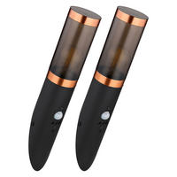 AUSSEN-WANDLEUCHTE BOSTON Schwarz - Schwarz, Metall (7.6/41/17cm) - Globo Lighting