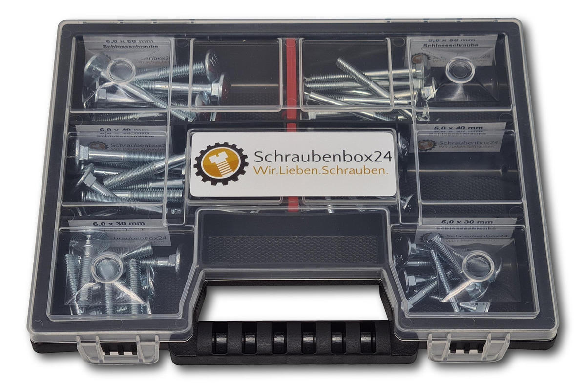 FLACHKOPFSCHRAUBEN Sortiment M5-M6 // 30mm-50mm 60 tlg. Schraubenbox DIN 603 - Zinkfarben, Metall (3.5cm) - Schraubenbox24
