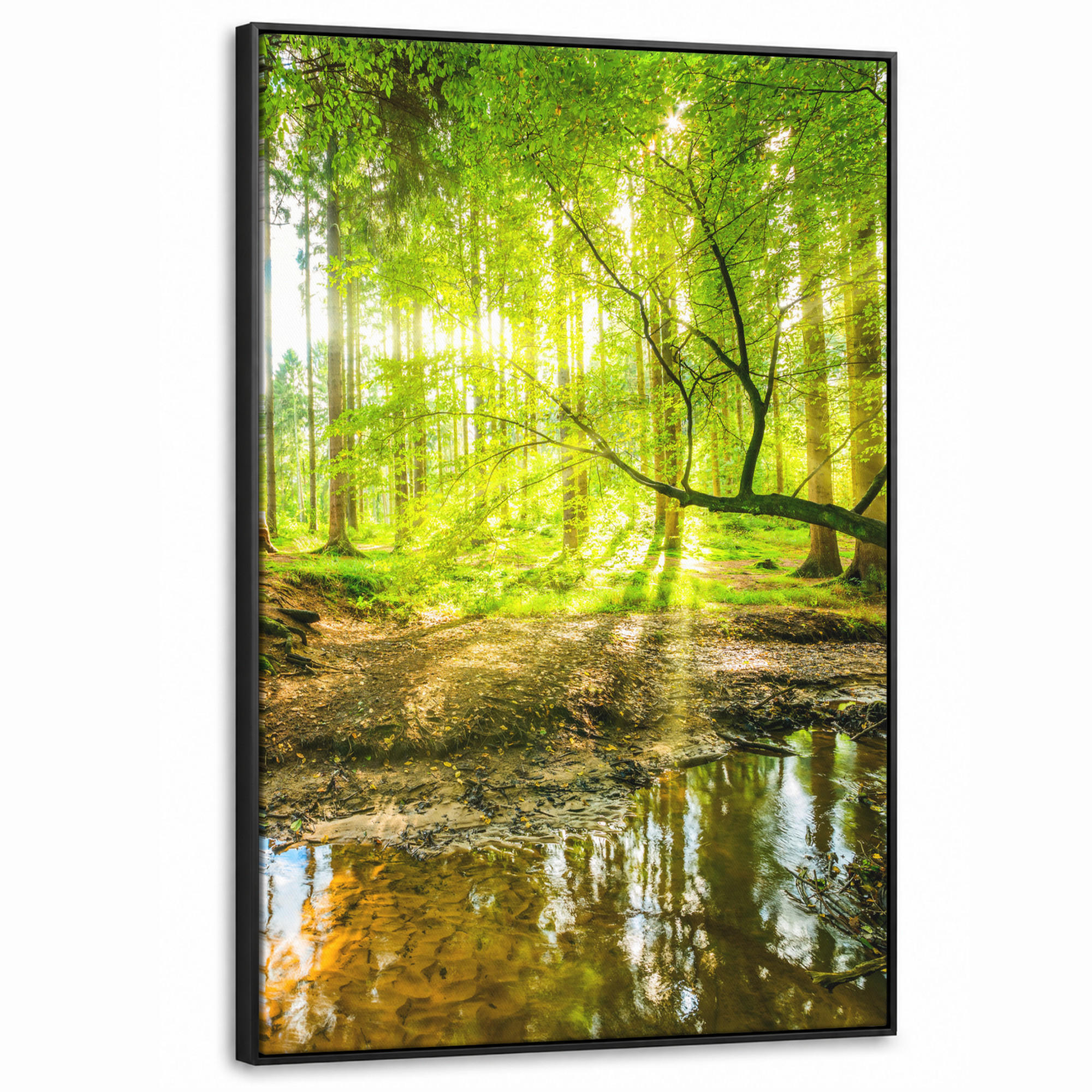 LEINWAND Bilder mit Rahmen - Wald - Landschaft - Wasser - Bäume - Sonne - Grün - Natur - 80x120 - Grün, Textil (80/120cm) - MuchoWow