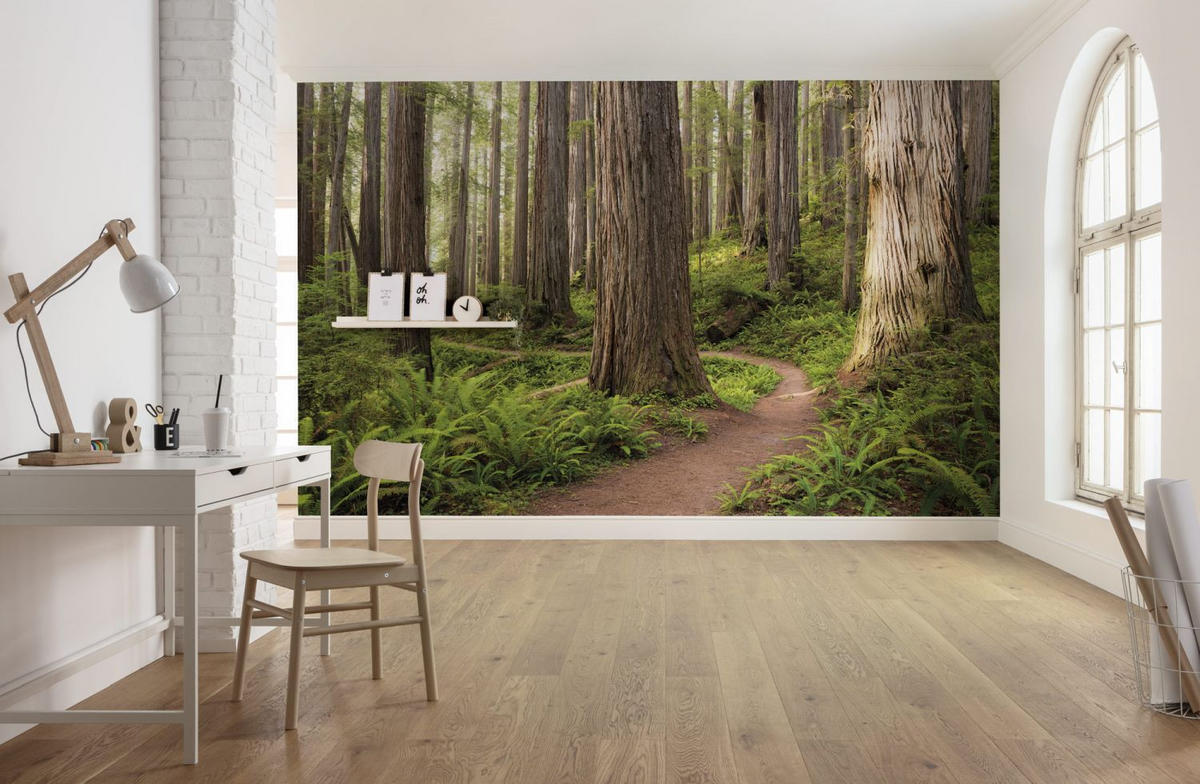 FOTOTAPETE Wald 450 x 280 cm - Grün, Papier (450/280cm) - Sanders & Sanders