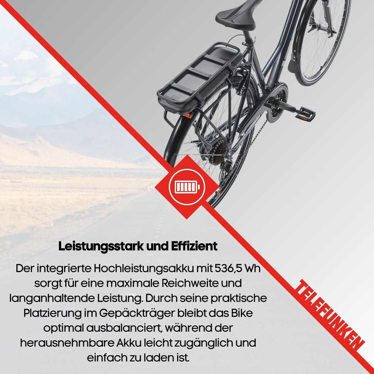E-BIKE XT485 Trekking Elektrofahrrad 21-Gang Shimano Kettenschaltung, Pedelec, 14,5Ah, 37V Akku - Anthrazit, Metall (112cm) - Telefunken