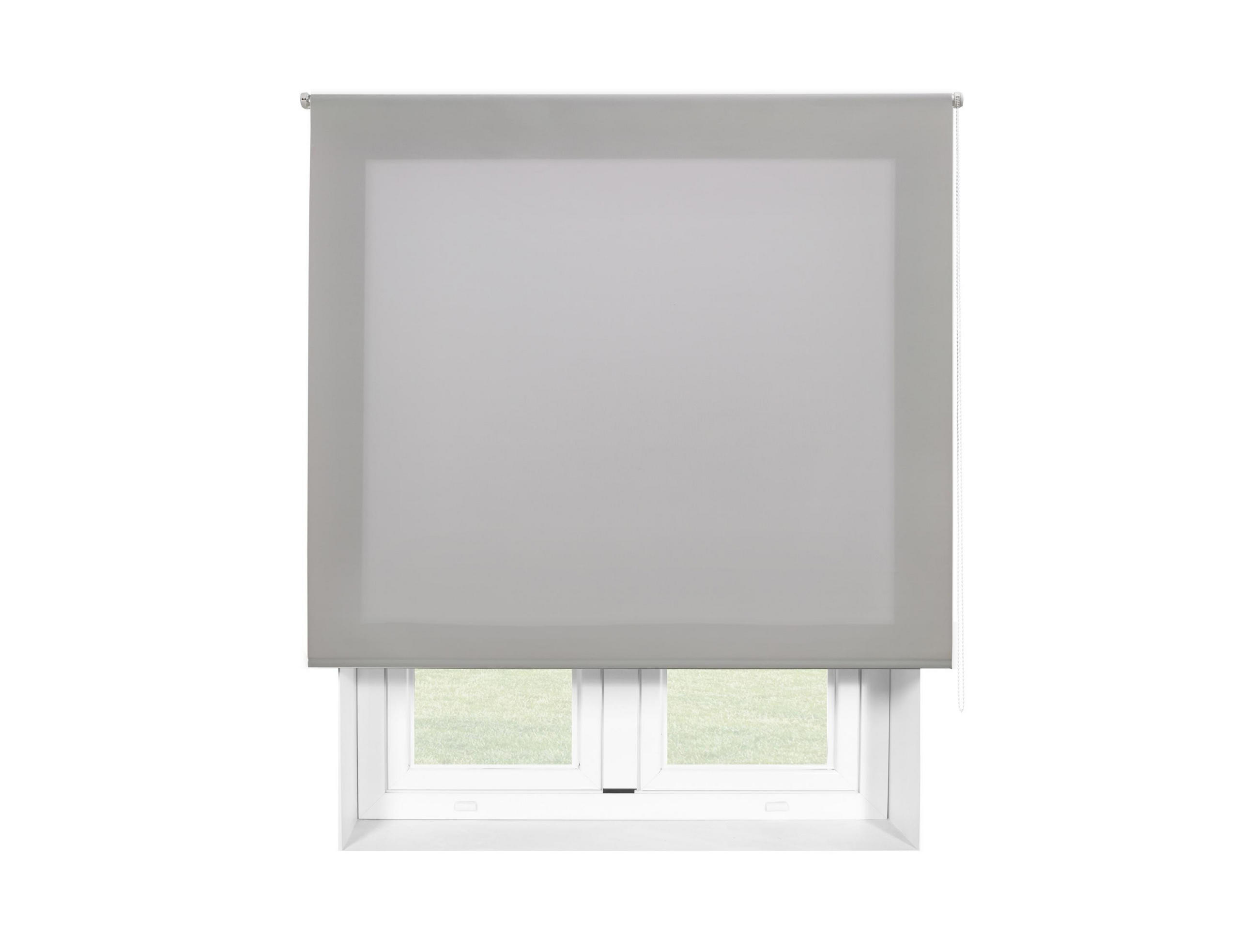 ROLLO Polyester Transluzent Silber 140x250 - Silberfarben, Textil (140/250/1cm) - Purline