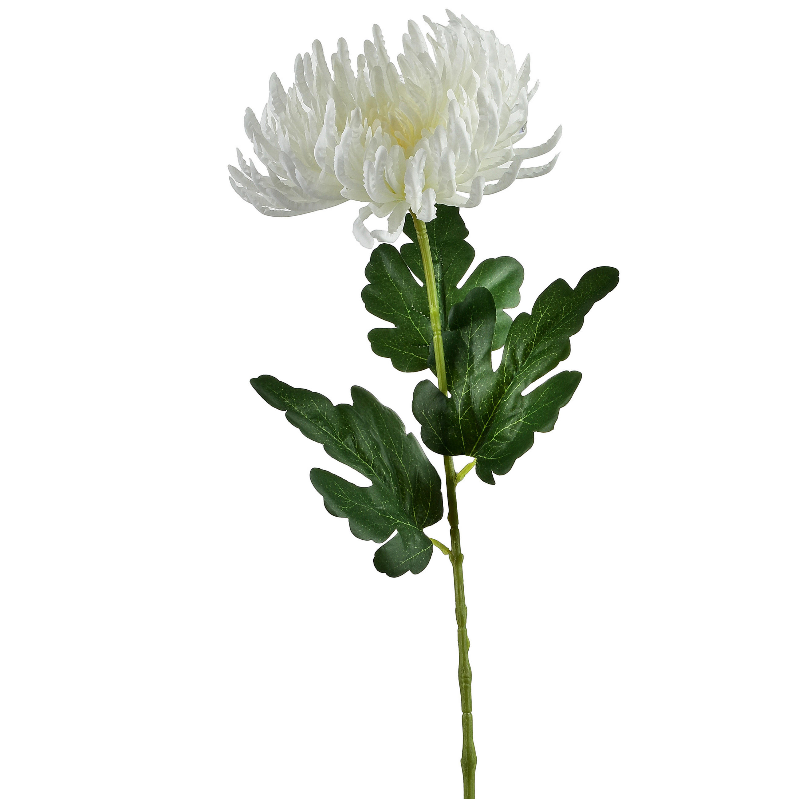 KÜNSTLICHE BLUME Viridis Kunststoff - Weiß, Kunststoff (72cm) - Mondex
