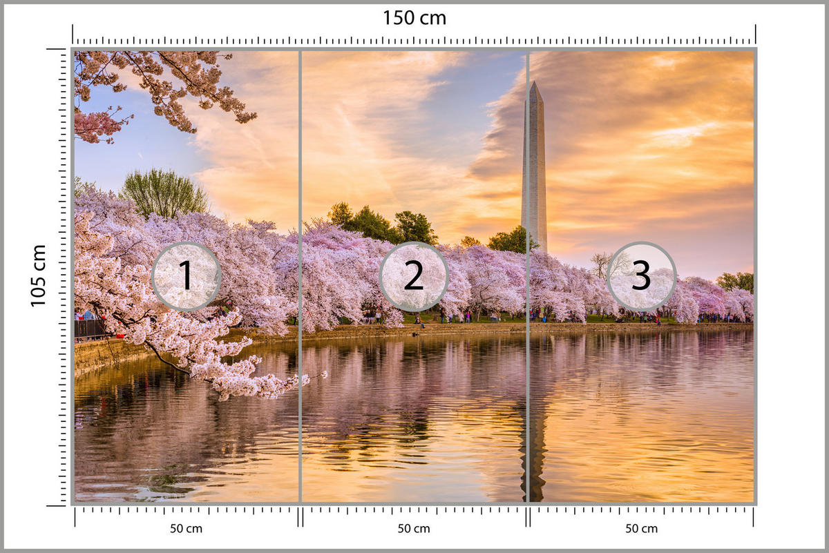 FOTOTAPETE Blühende Kirschbäume Fluss Natur Frühling Sonnenuntergang 150x105 - Blau/Gelb, Papier (150/105cm) - Muralo