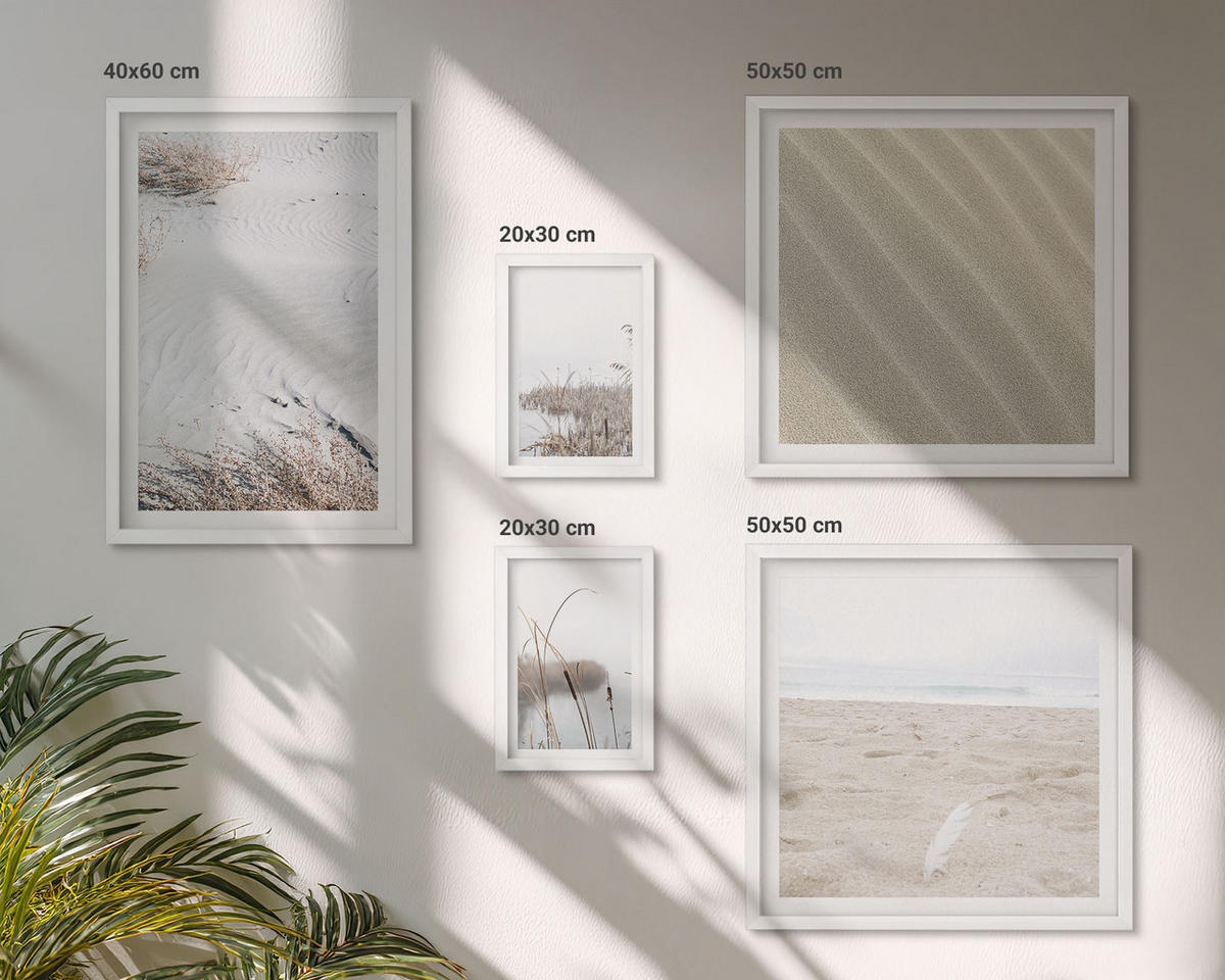 BILDER SET 5er Set - 50x50 cm & 20x30 cm & 40x60 cm Weißer Rahmen - Vegetation am Wasser im Sommer - Weiß, Kunststoff (40/60cm) - TULUP