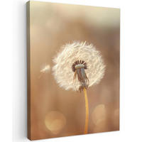 LEINWANDBILD Löwenzahn - Beige - Natur - Blume 60x80 cm - Hellbraun, Textil (60/80cm) - MuchoWow