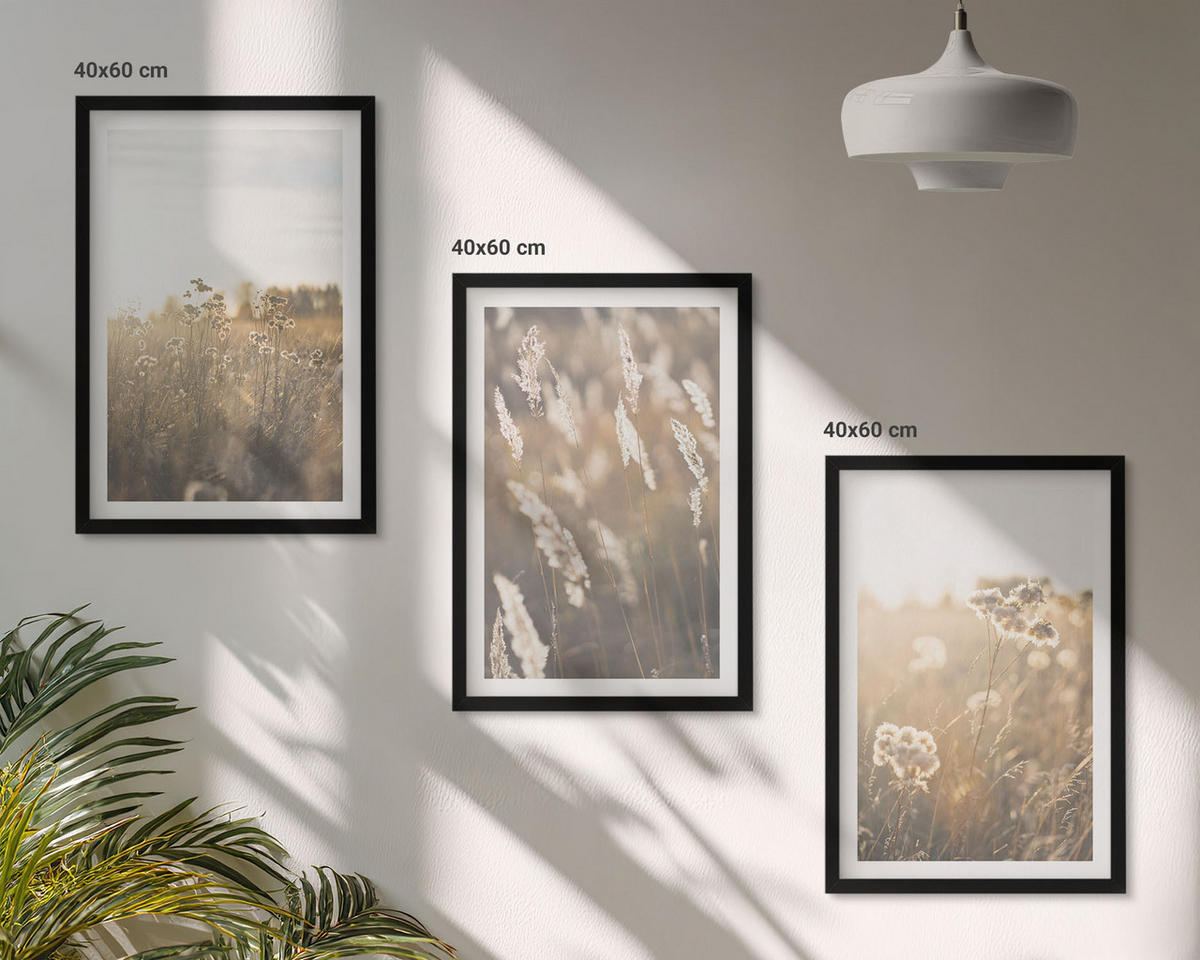 BILDER SET 3er Set - 40x60 cm Schwarzer Rahmen - Landschaftsgrasblumen Wärme - Schwarz, Kunststoff (40/60cm) - TULUP