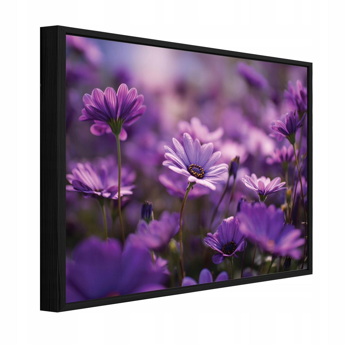 BILDER mit Rahmen Blumen Wiese Lila 60x40 cm - Multicolor, Holzwerkstoff (60/40cm) - Wallarena
