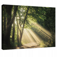 LEINWANDBILD Wald Natur Modern Wohnzimmer 60x40 - Multicolor, Holzwerkstoff (60/40cm) - Wallarena