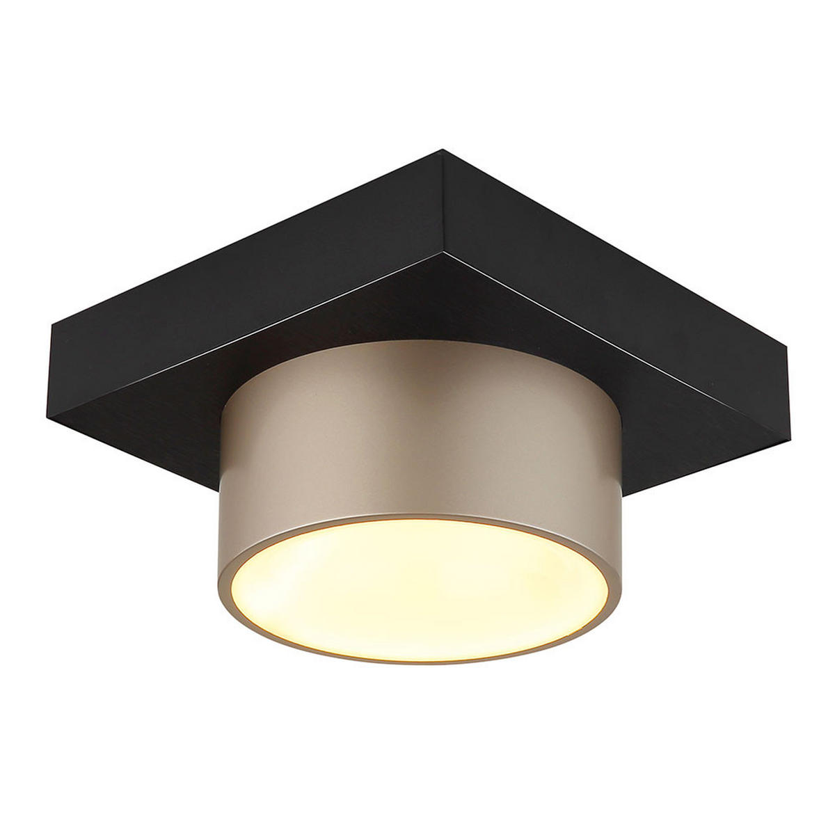 DECKENLEUCHTE RAYMOND METALL SCHWARZ MATT CHAMPAGNER LED - Schwarz, Metall (20/20/13cm) - Globo Lighting