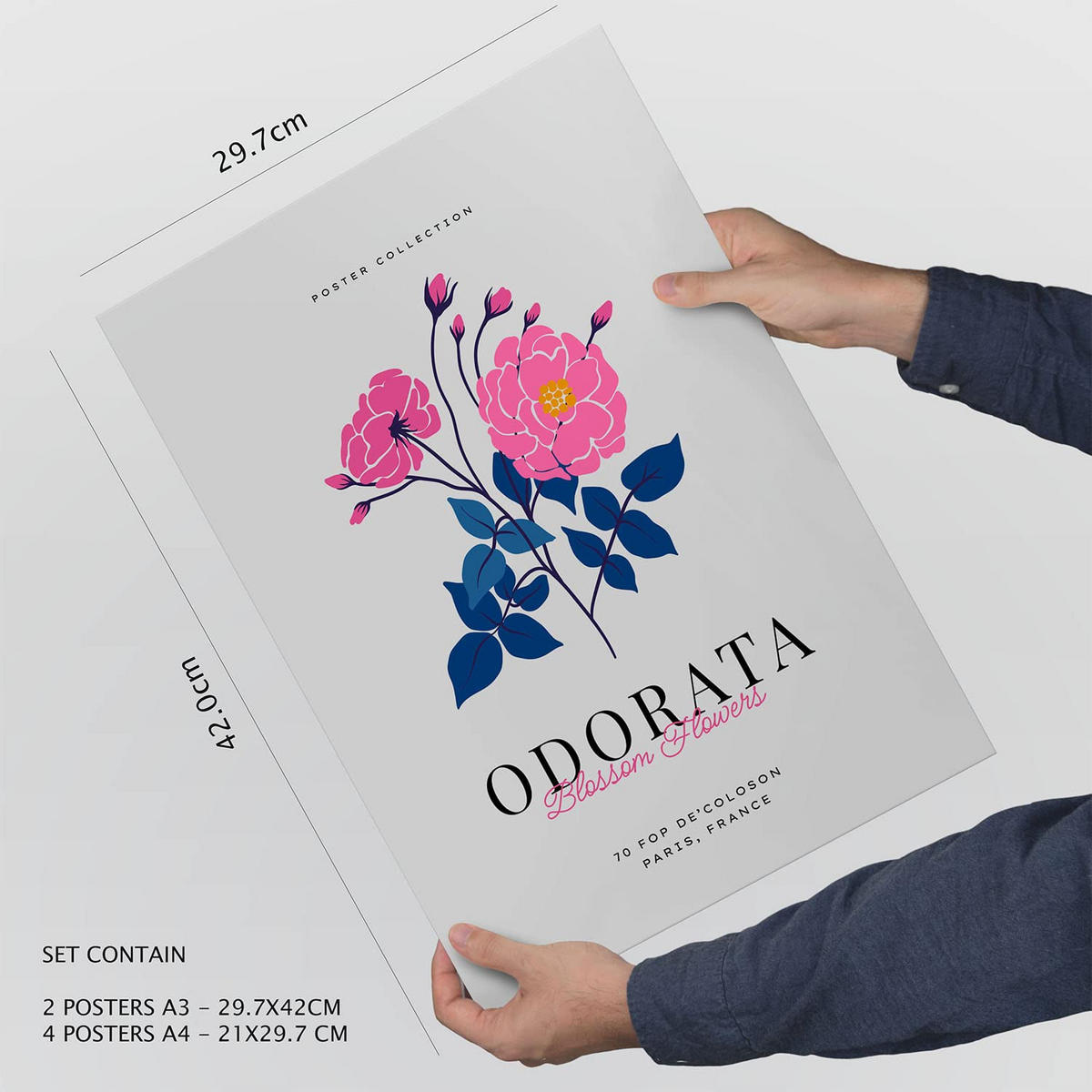 POSTER Set Mit 6 Blumen Narzissen Natur Und Botanikdrucke Für Innenarchitektur A3 & A4 Rahmen Aus Hellem Holz - Beige, Papier (29/3cm) - Nacnic