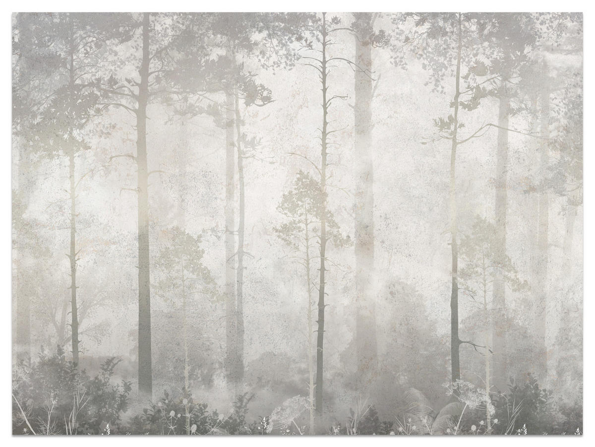 FOTOTAPETE für Wohnzimmer Nebliger Wald Vintage Bäume 300x210 - Beige/Grau, Papier (300/210cm) - Muralo