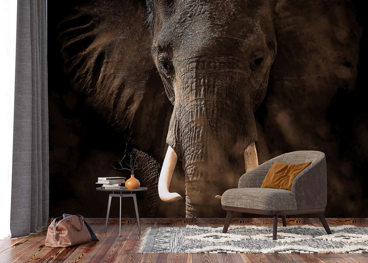 FOTOTAPETE Elefant 375 x 270 cm - Grau, Papier (375/270cm) - Sanders & Sanders