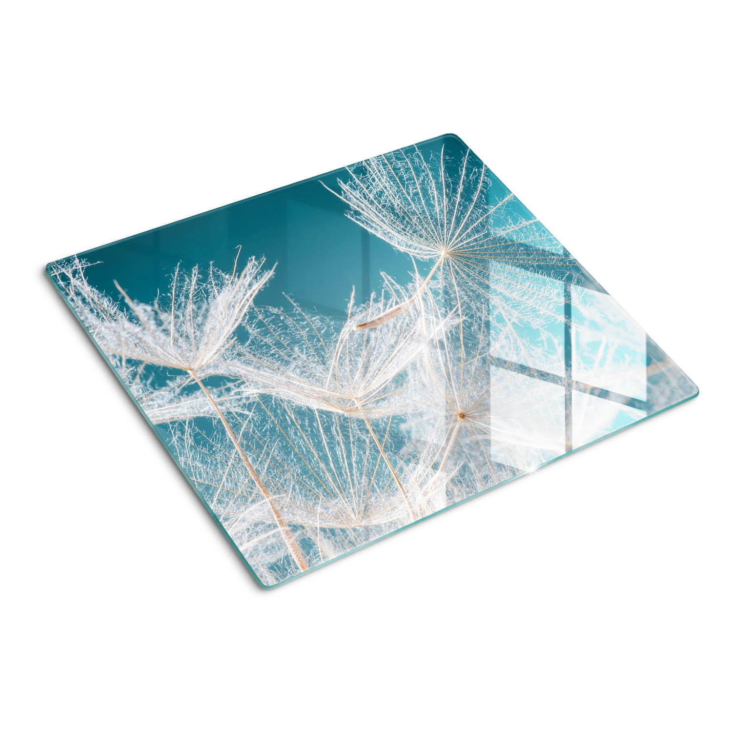 GLASPLATTE 60x52 cm Löwenzahn - Weiß, Glas (60/0.4/52cm) - TULUP