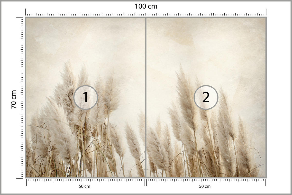 FOTOTAPETA Pre Spálňu Boho Tráva Pampasová Betón Rastliny Vintage 100 x 70 cm - hnedá/béžová, papier (100/70cm) - Muralo