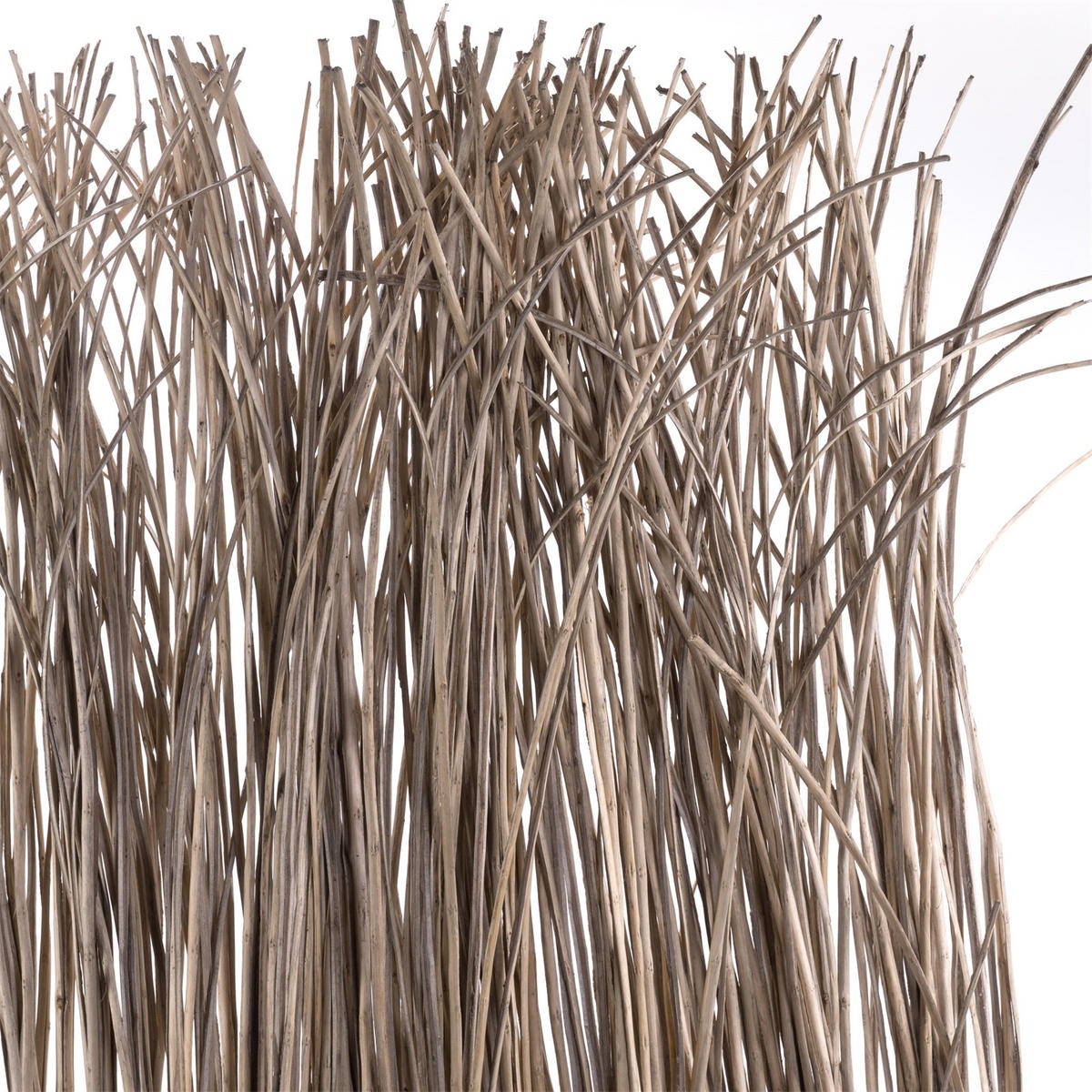 PARAVENT Nature 3-tlg. Weidenzweige grau - Multicolor, Naturmaterialien (120/160/3cm) - DESIGN DELIGHTS