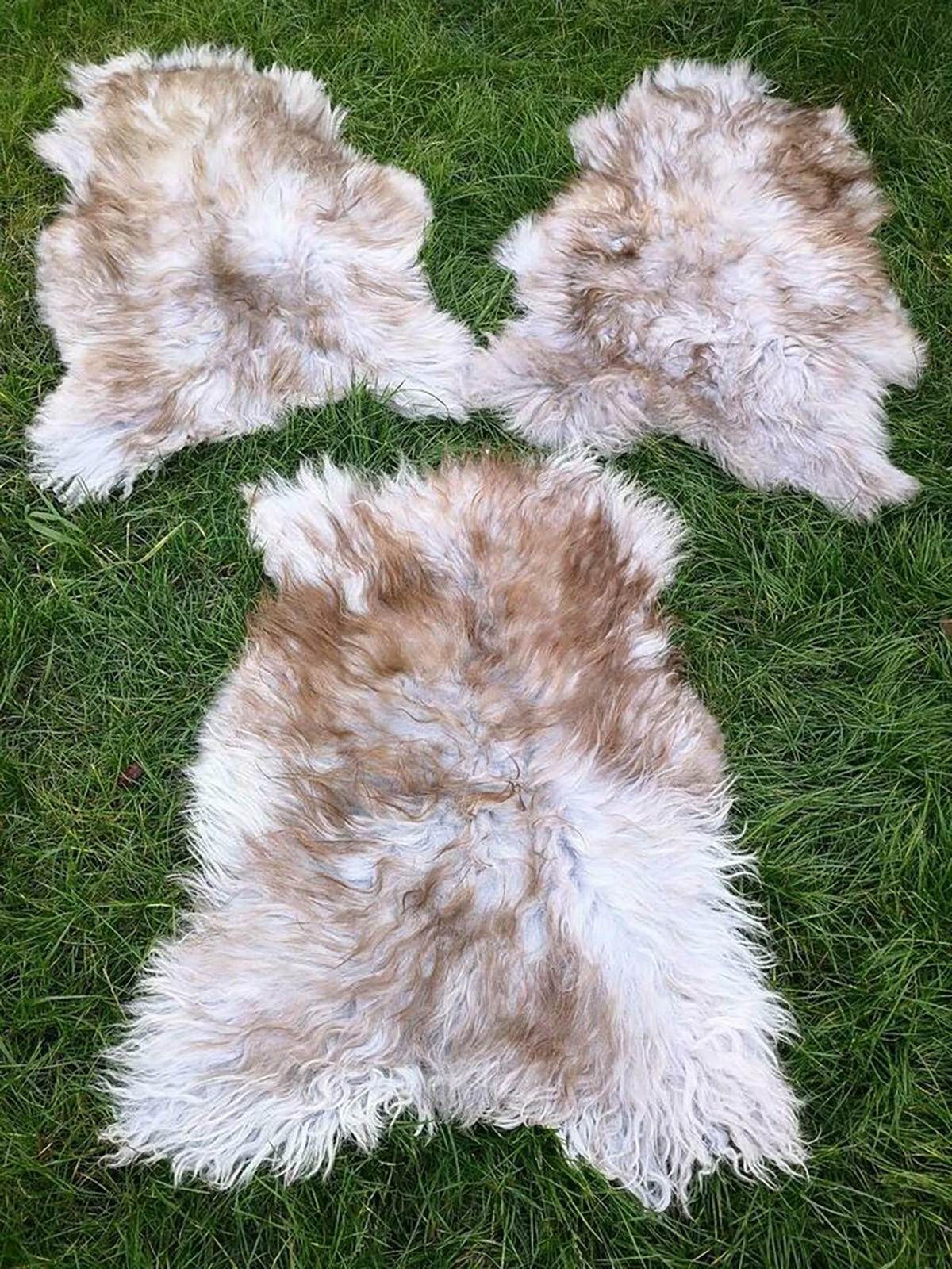 LAMMFELL Island hellgrau-braun lange weiche Wolle ca. 105 cm - Hellbraun/Hellgrau, Fell (55/105cm) - Provellus