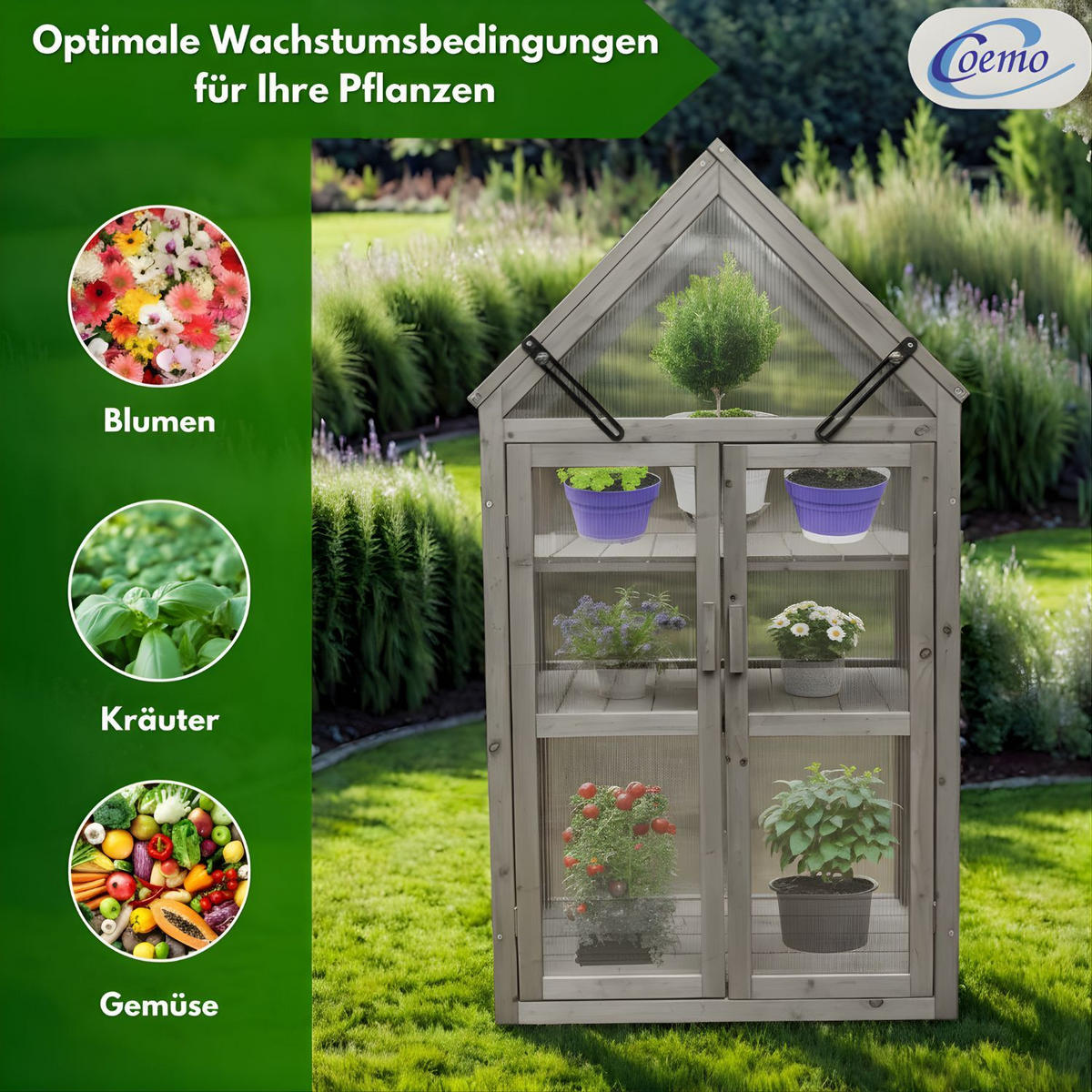 GEWÄCHSHAUS JAN Holz Farbe Grau 73/41/132 cm - Grau, Holz (40/132/70cm) - Coemo