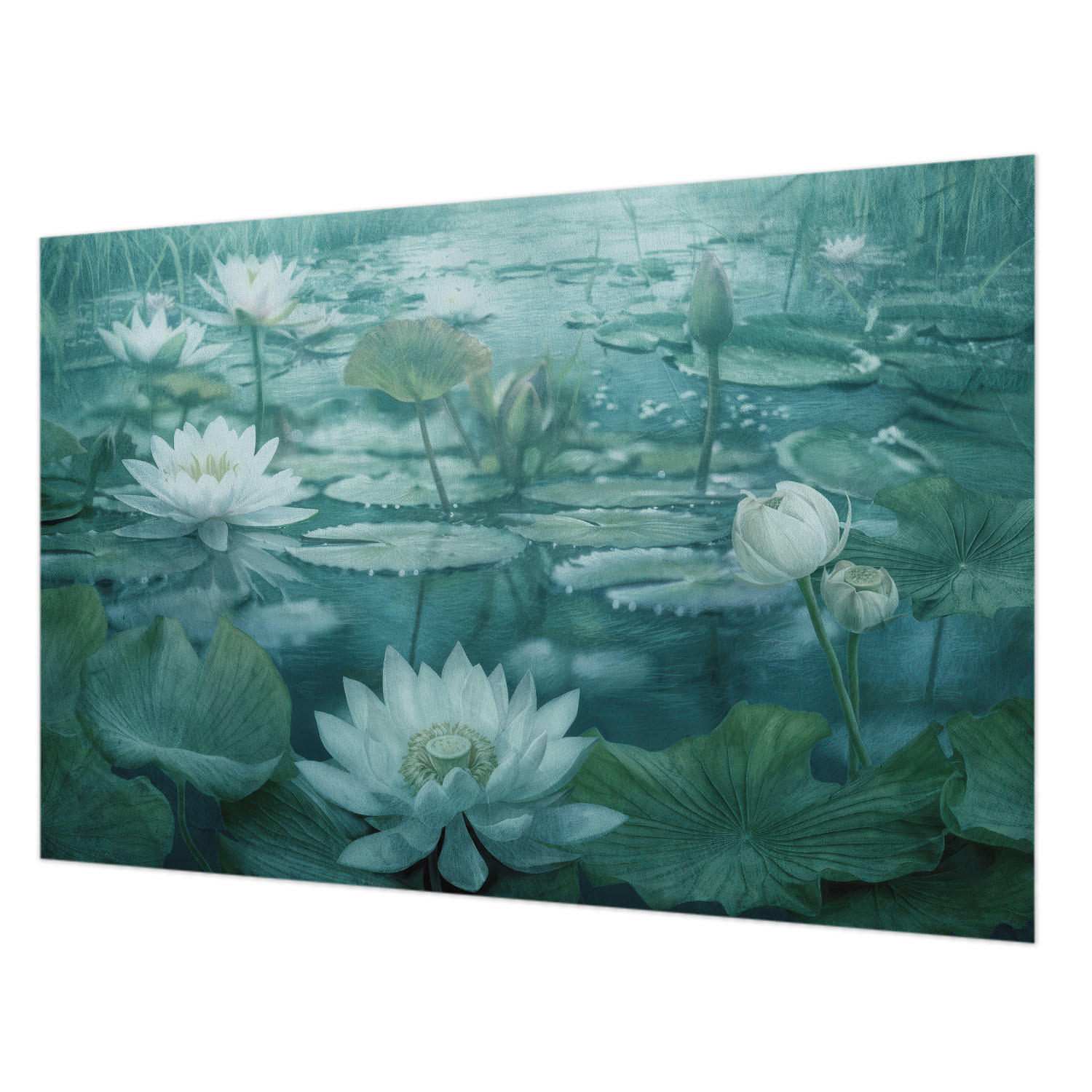 Wallfluent Fototapete Schwarz 104x70 cm