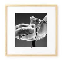 KUNSTDRUCK Schwarz-Weiß 50/50 cm - Schwarz, Glas/Papier (2.4/50cm) - KUNSTLOFT