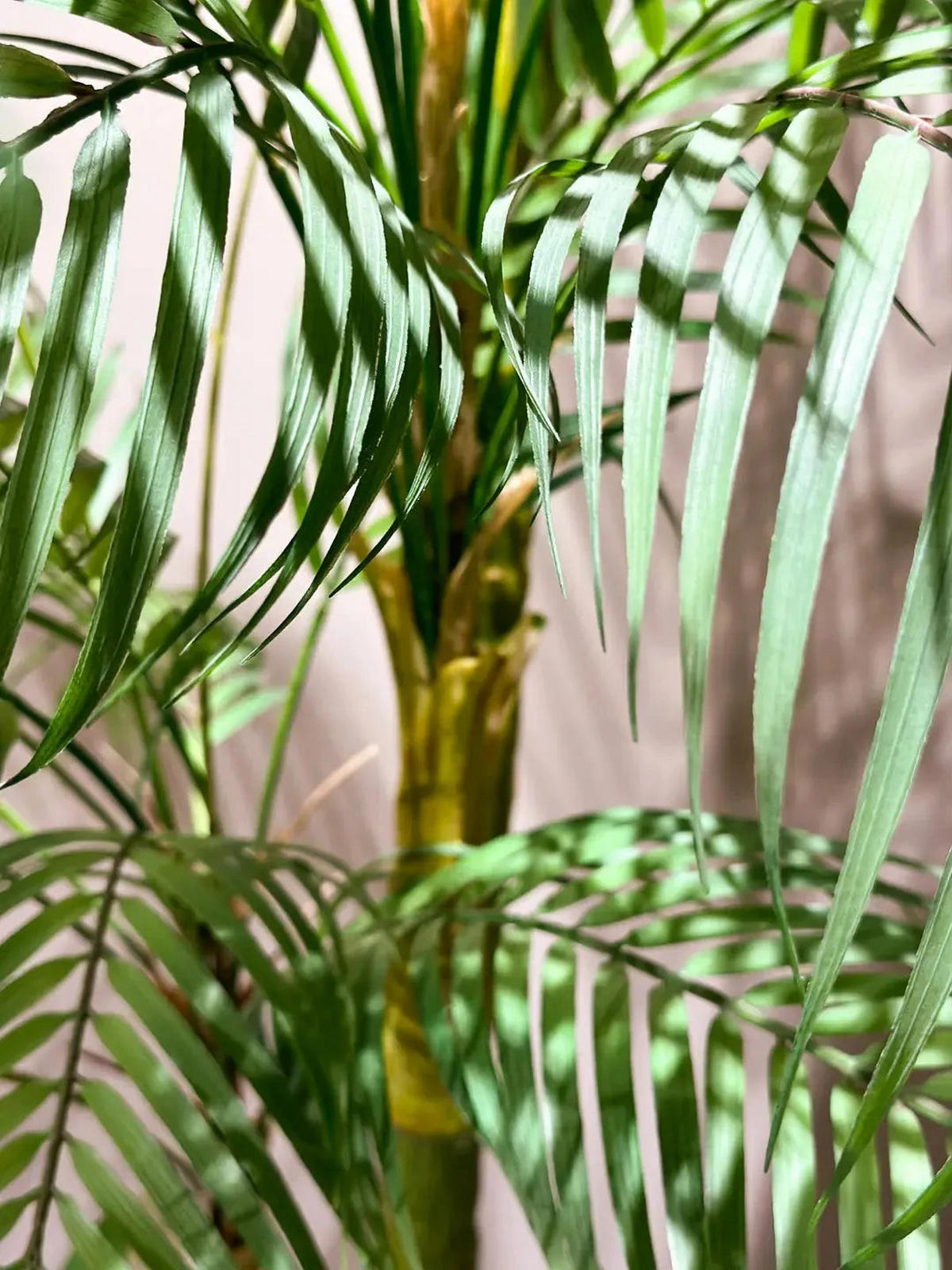 ARECA PALMEN Künstliche Areca Palme - Paolo 195 cm - Grün, Kunststoff (195cm) - Emerald
