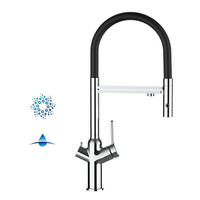4-WEGE-KÜCHENARMATUR, Verchromt und Schwarz, 2-Strahl-Brause - Chromfarben, Metall (20.61/48/20.61cm) - VIZIO