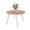 TISCH Weiße Beine, MDF Tischplatte, Lefkas Eiche - Braun/Weiß, Holzwerkstoff (100/100/76cm) - Idohome