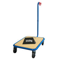 GRIFFROLLER 96x50x60cm Traglast 250kg Lichtblau - Blau, Metall (60/50/96cm) - PROREGAL