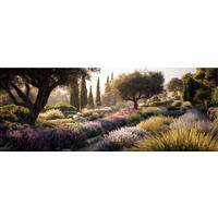 GLASBILD 80x30 cm Mediterrane Landschaft - Violett, Glas (80/30cm) - artissimo