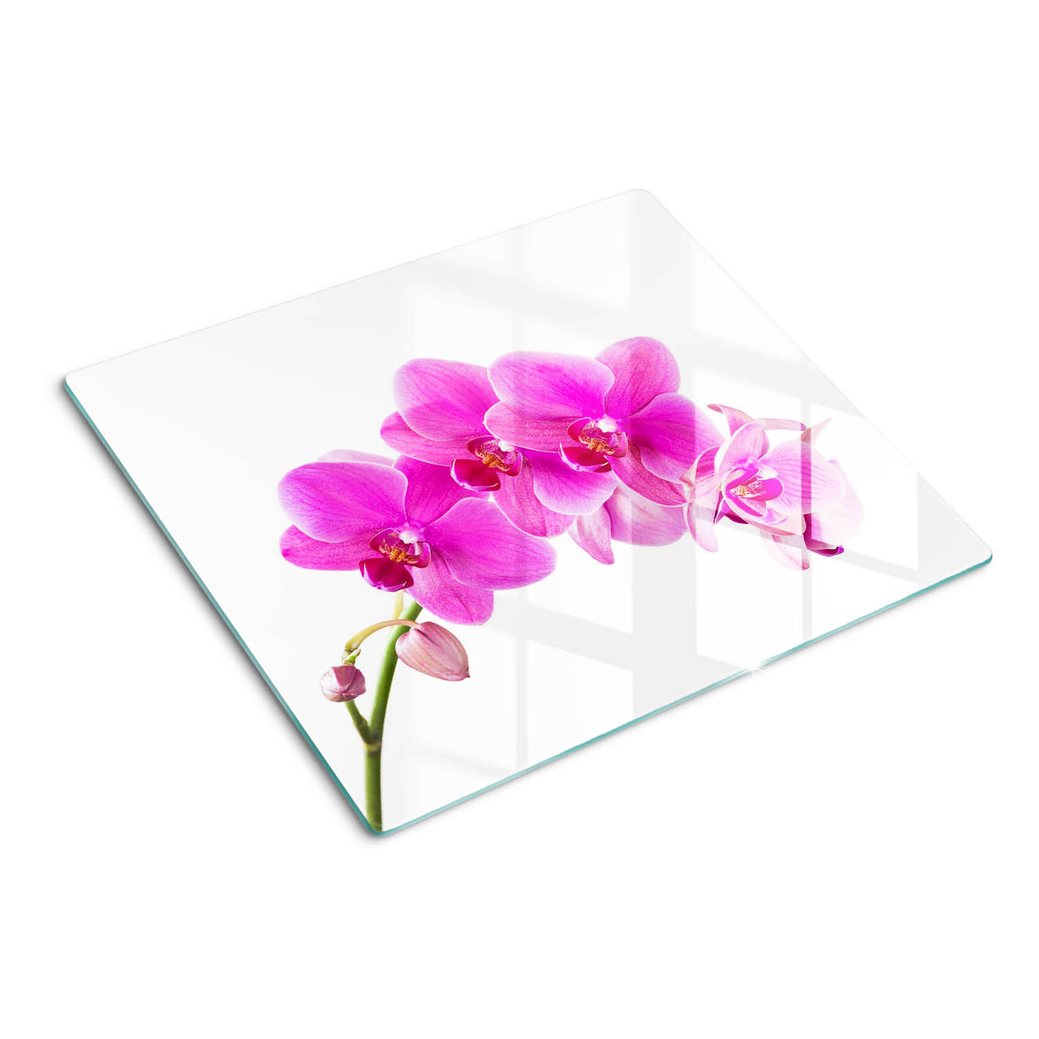 GLASPLATTE 60x52 cm Rosa Orchidee - Pink, Glas (60/0.4/52cm) - TULUP