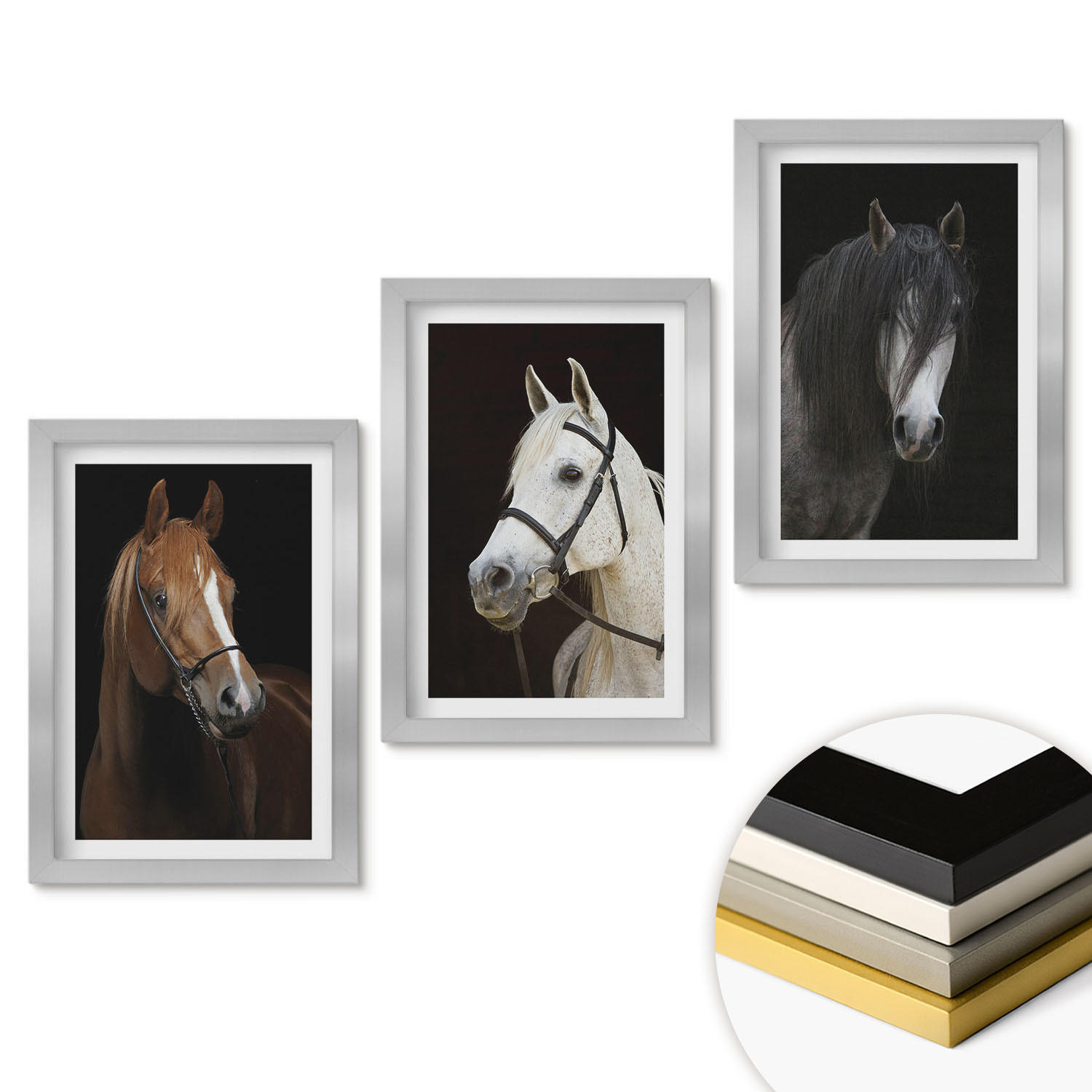 WANDBILDER 3er Set - 20x30 cm Silberner Rahmen - Porträts von Pferden in verschiedenen Fellfarben - Silberfarben, Kunststoff (20/30cm) - ArtPrintCave