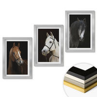 WANDBILDER 3er Set - 20x30 cm Silberner Rahmen - Porträts von Pferden in verschiedenen Fellfarben - Silberfarben, Kunststoff (20/30cm) - ArtPrintCave