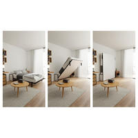 SCHRANKBETT Morphy Studio Modulares SizeFlex- und TypeFlex-System - 160x200, Vertikal - Schwarz, Metall (160/200cm) - WallBedKing