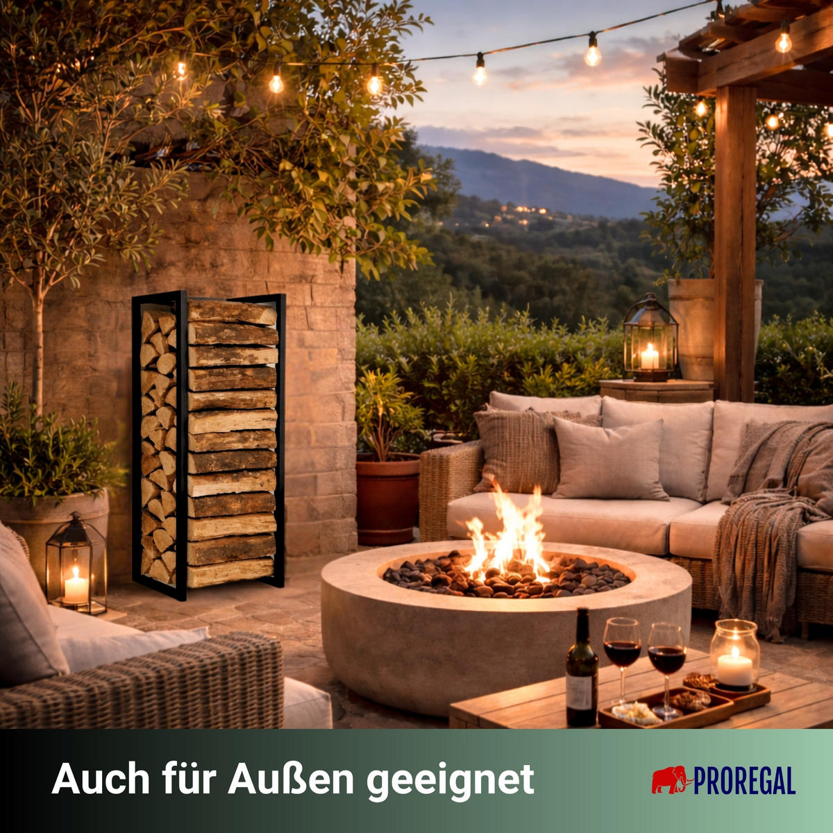 KAMINHOLZREGAL Phoenix innen & außen für Wandmontag 92x41x31cm Schwarz - Schwarz, Metall (41/92/31cm) - PROREGAL