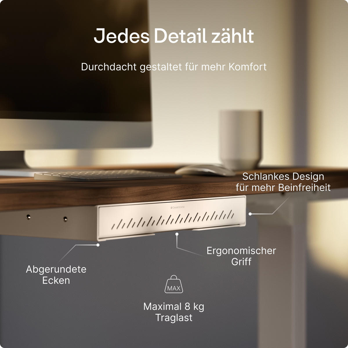 SCHUBLADEN-ORGANIZER unter dem Schreibtisch, 41x27x5cm Weiß - Weiß, Metall (41/27/5cm) - Desktronic