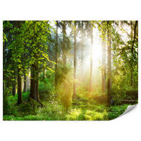 FOTOTAPETE für Wohnzimmer Sonniger Wald Bäume Pflanzen Natur Gras 450x315 - Multicolor, Papier (450/315cm) - Muralo
