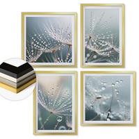 WANDBILDER 4er Set - 50x50 cm & 40x60 cm Goldrahmen - Wassertropfen auf Löwenzahnsprossen - Goldfarben, Kunststoff (50/50cm) - ArtPrintCave