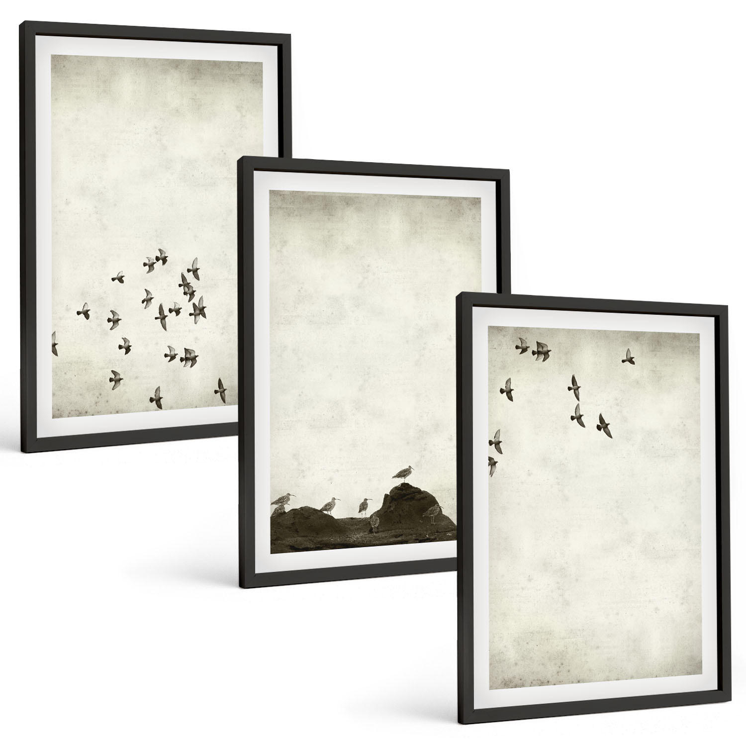 BILDER SET 3er Set - 40x60 cm Schwarzer Rahmen - Vögel im Flug, minimalistischer Stil - Schwarz, Kunststoff (40/60cm) - TULUP