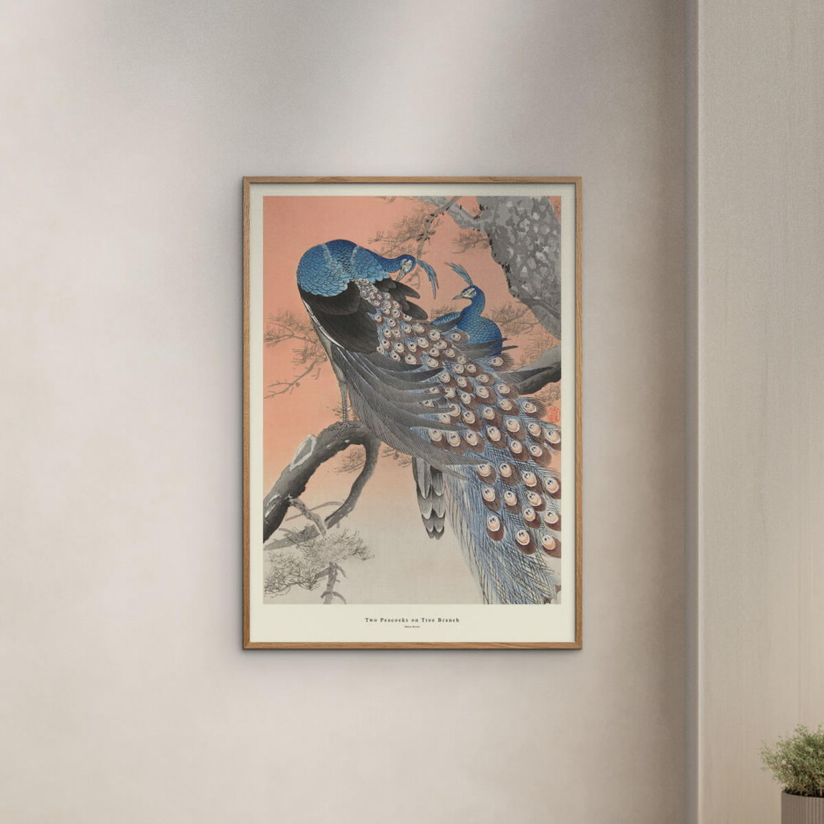 POSTER A.P. Atelier - Two Peacocks on Tree Branch - Multicolor, Papier (30/40/0.1cm) - Poster&Frame