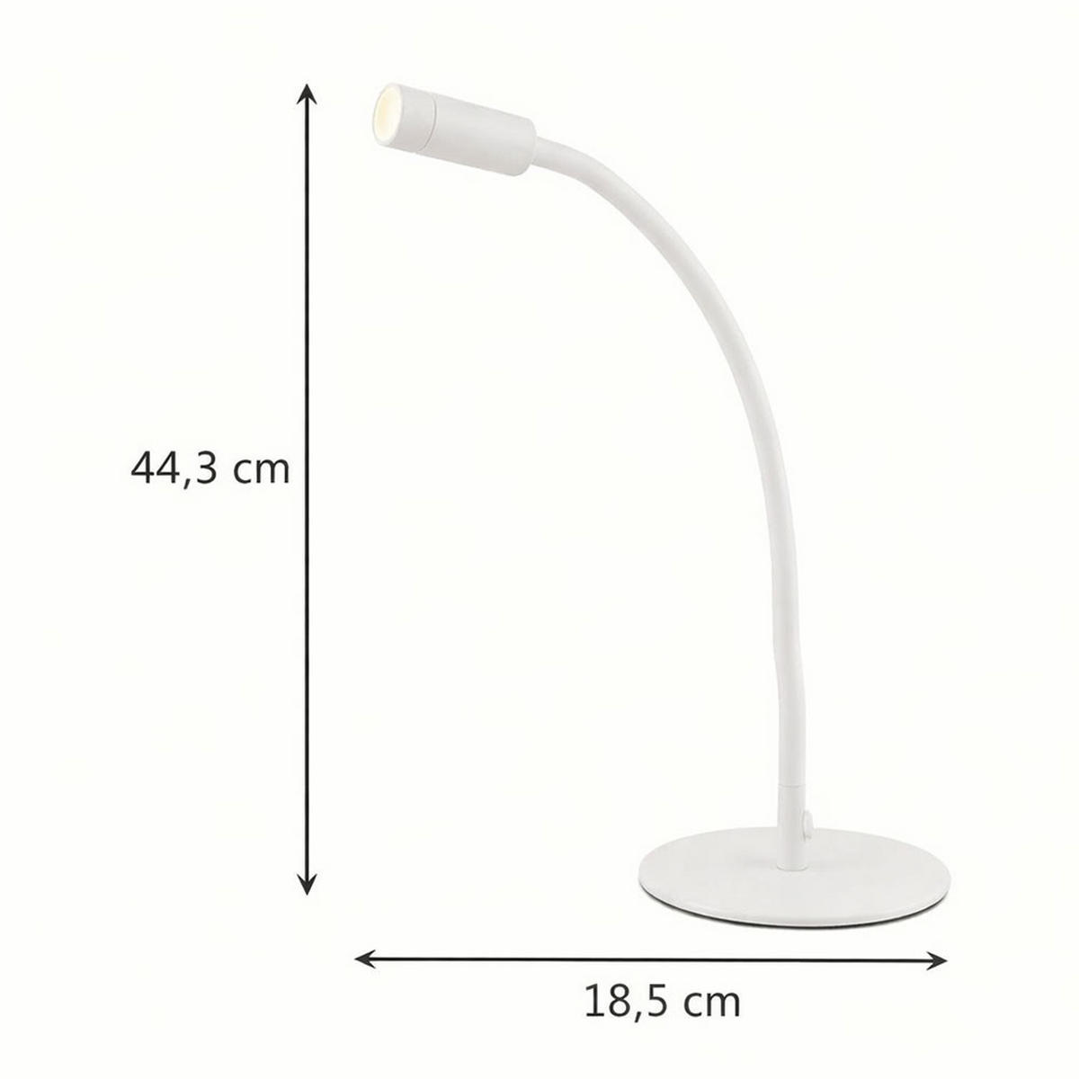 LED TISCHLEUCHTE Weiß Flexibler Arm - Weiß, Metall (18.5/18.5/44.3cm) - Globo Lighting