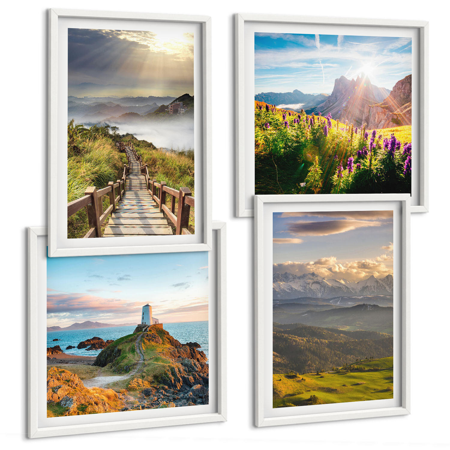 BILDER SET 4er Set - 50x50 cm & 40x60 cm Weißer Rahmen - Bergblumen Himmelsweg - Weiß, Kunststoff (50/50cm) - TULUP