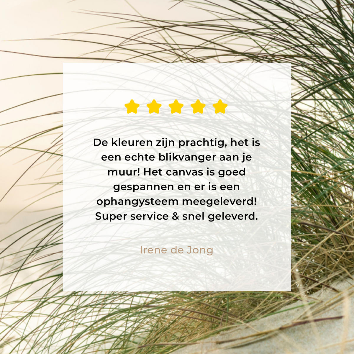 LEINWANDBILD Dünen mit Strandhafer in der Sonne des Nationalparks Schleswig-Holsteinisches Wattenmeer Deko Groß 90x90 cm - Creme, Textil (90/90cm) - MuchoWow