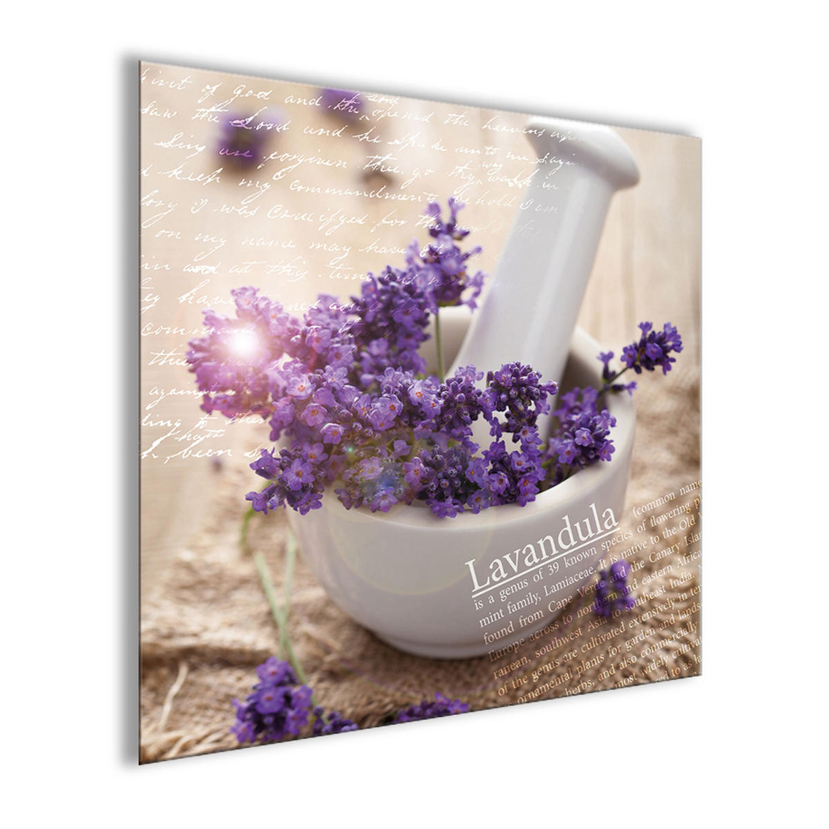 GLASBILD 30x30 cm Lavendel Spa - Beige, Glas (30/30cm) - artissimo