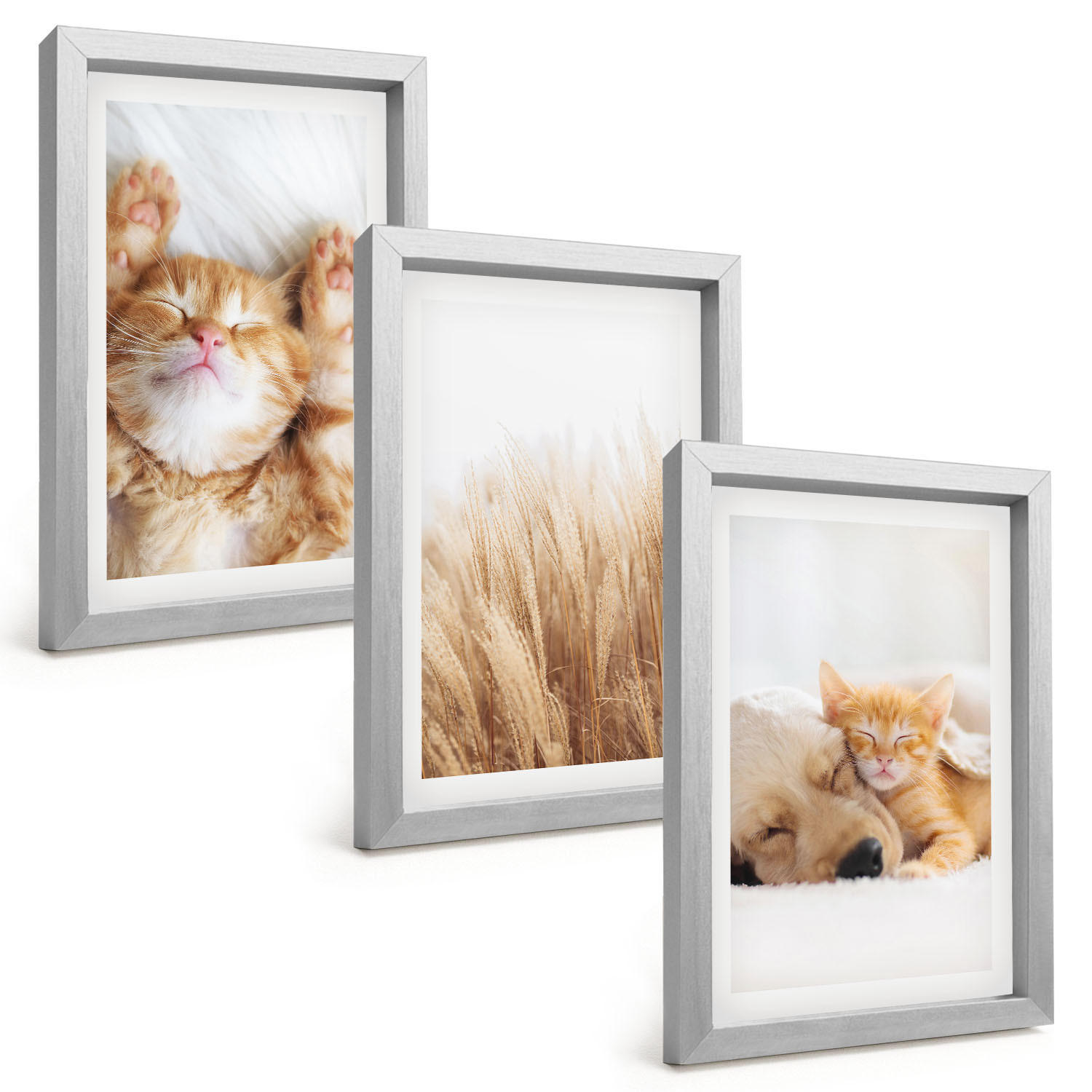 Tulup Bilder Silber 20x30 cm