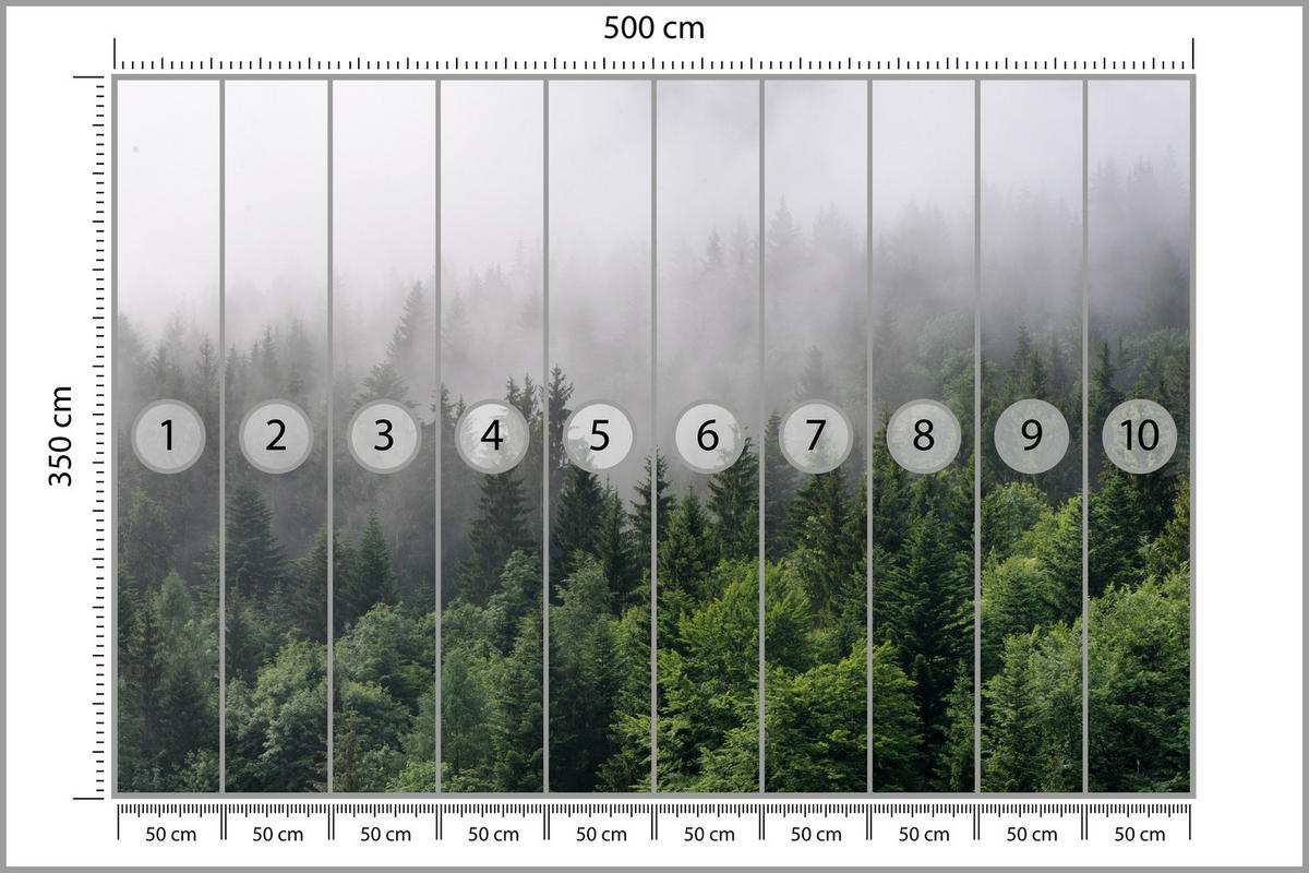 FOTOTAPETA Pre Obývaciu Izbu Ihličnaté Stromy Hmlový Les Zelená 500 x 350 cm - sivá/zelená, papier (500/350cm) - Muralo